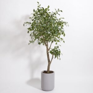 Tree Appearance, Taupe Planter Pot Included