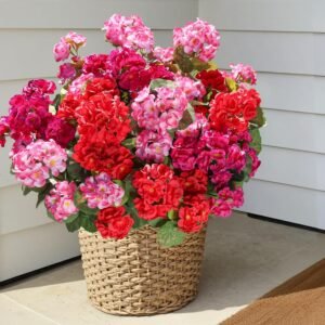 Artificial Geraniums Fake Flowers for Outdoors Decoration, 6 Bundles Silk Geraniums Flower UV Resistant Look Real Faux Plants for Front Door Garden Porch Planter Patio Balcony Yard Indoor Home